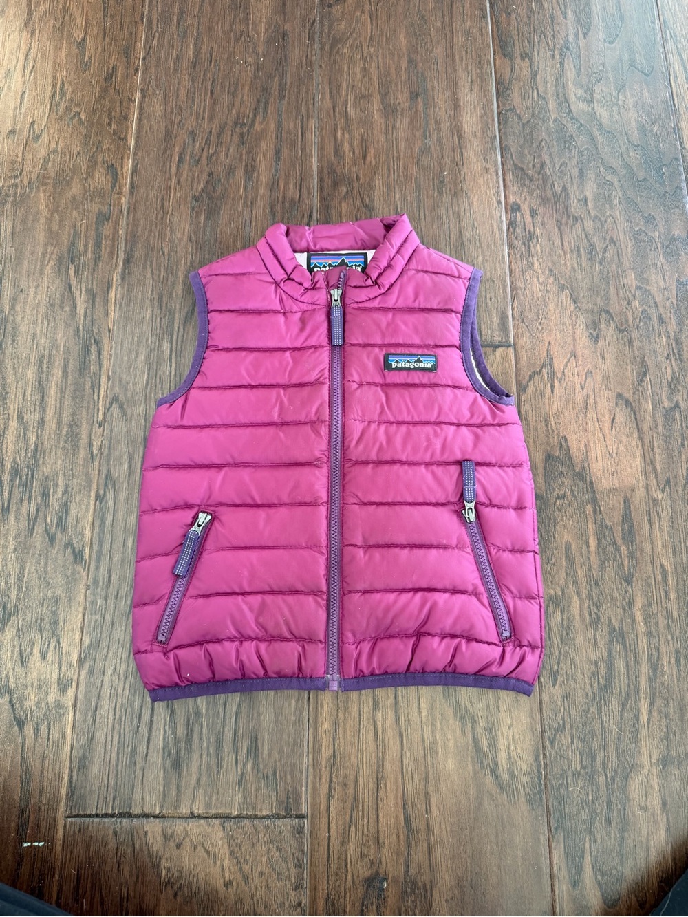 Patagonia vest